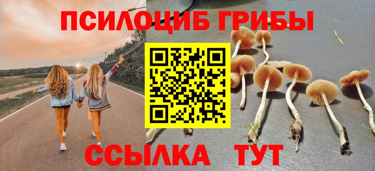 купить наркоту  Галлюциногенные грибы GOLDEN TEACHER  Псилоцибиновые грибы Psilocybe  Вход с VPN  Краснодар 